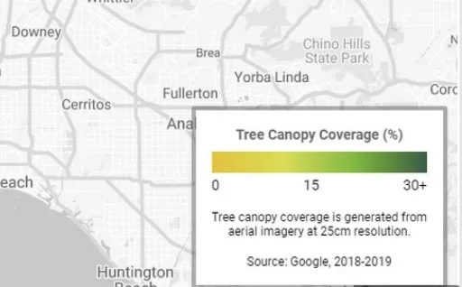 Google - Tree - Canopy