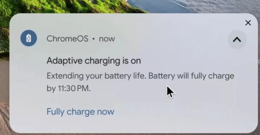 Charge adaptative de Chromebook