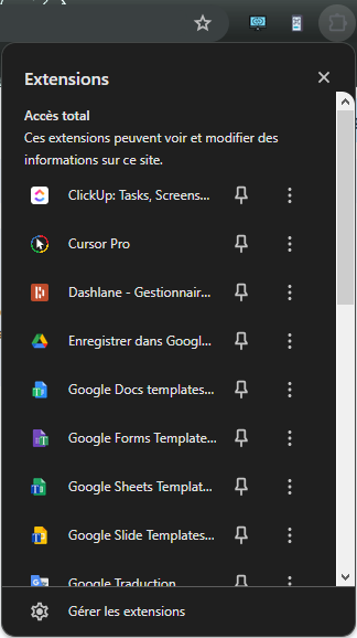 Icône extension sur Chrome