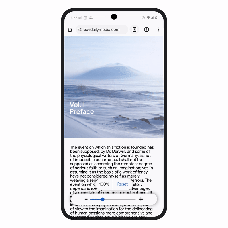 Page Zoome de Chrome
